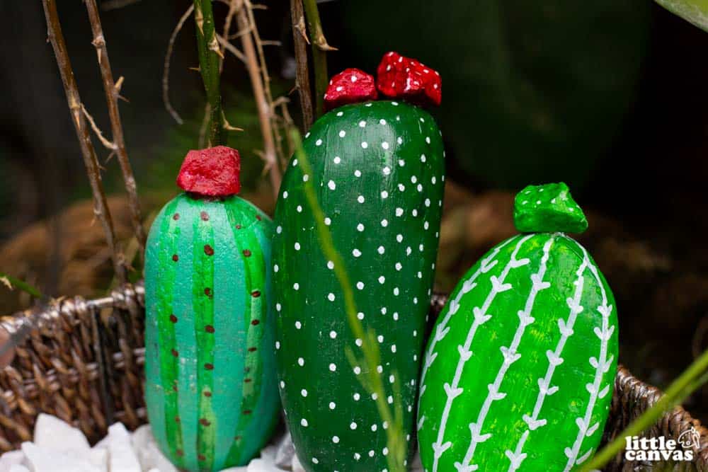 cactus pebble art