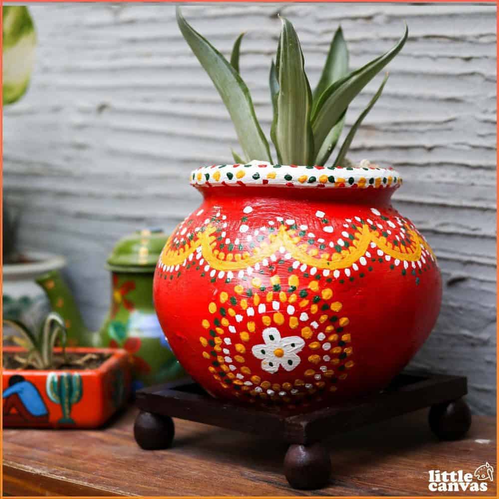 Terracotta pot with plant
